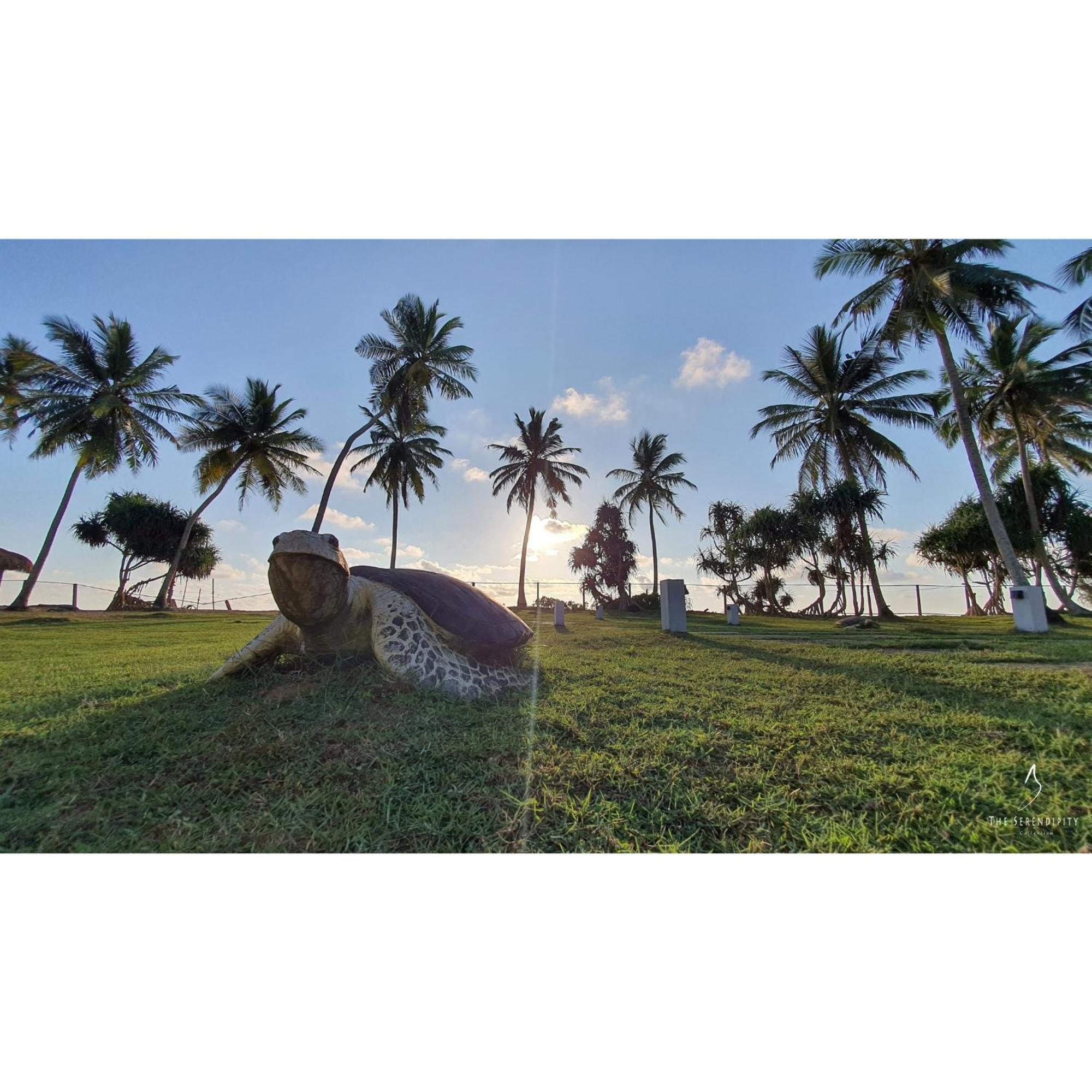 Green Turtle Villa By The Serendipity Collection Bentota Extérieur photo