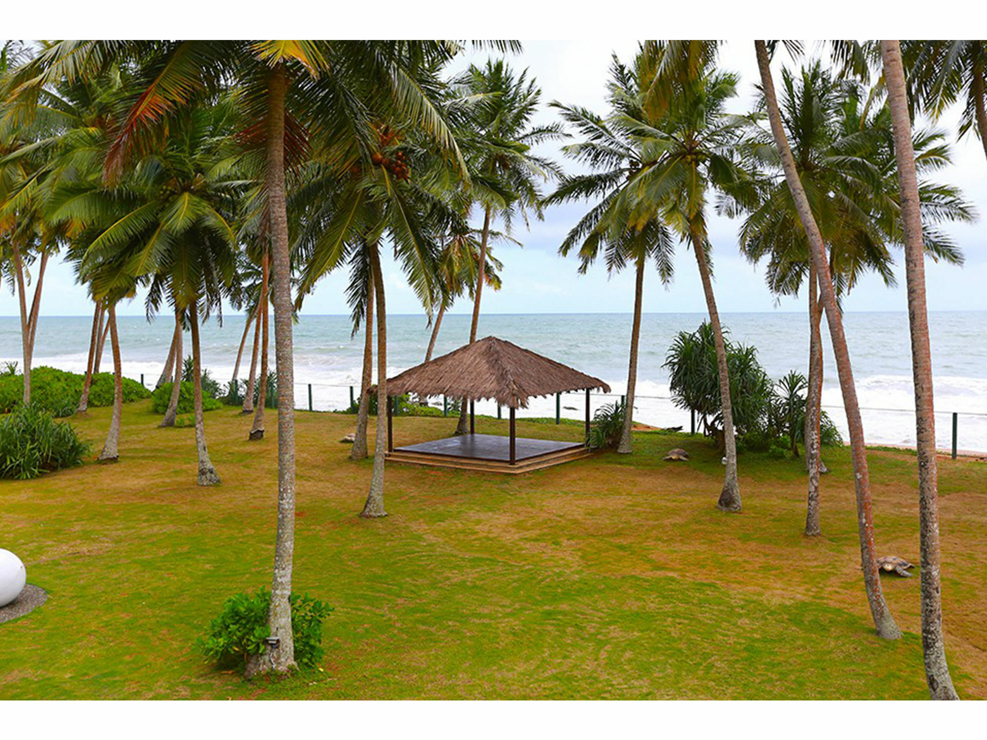 Green Turtle Villa By The Serendipity Collection Bentota Extérieur photo